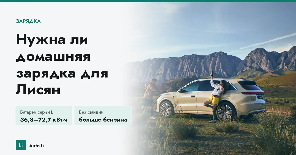 Нужна ли домашняя зарядка для Лисян